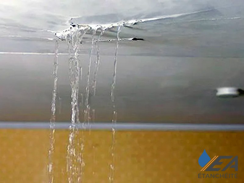 Dégât infiltration — fuite plafond à traiter